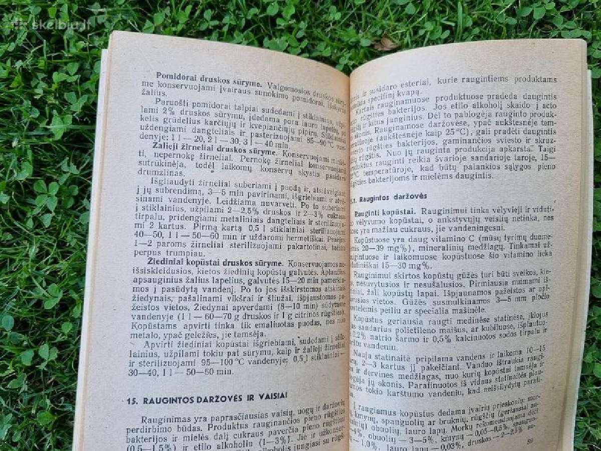 Vaisių, uogų ir daržovių perdirbimas - nuotraukos Nr. 6