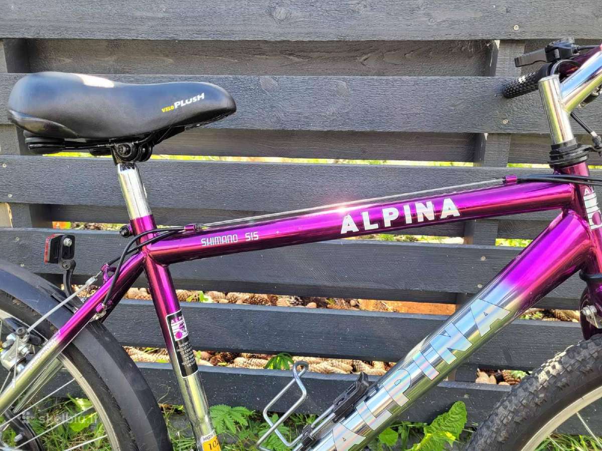 Puikus Alpina dviratis - nuotraukos Nr. 2