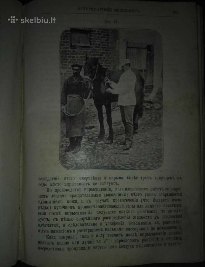 621. Ветеринарный Фельдшеръ carinė - nuotraukos Nr. 3