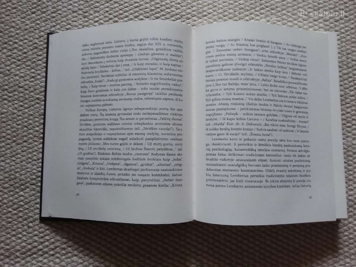 Poezija Pranas Lembertas 2018 m. - nuotraukos Nr. 2