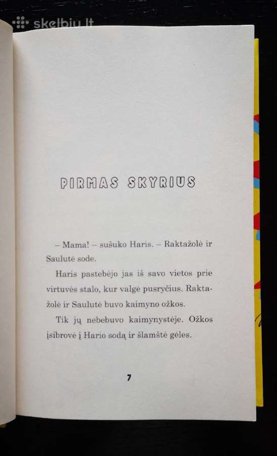 Aš pamečiau savo močiutę prekybos centre - nuotraukos Nr. 4