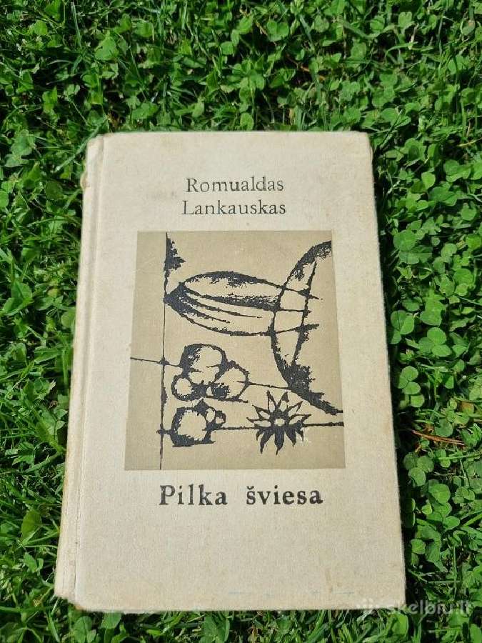 Romualdas Lankauskas "Pilka šviesa"