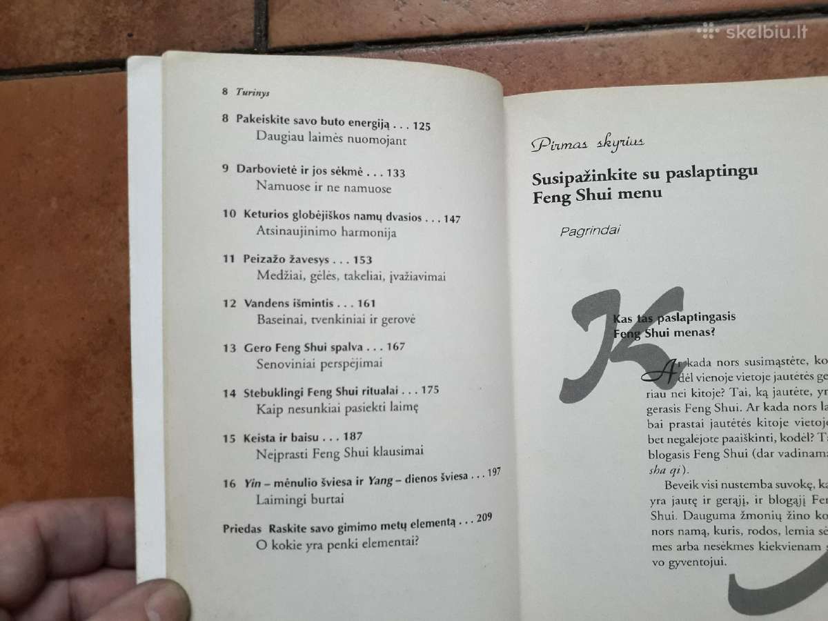 Selena Summers "Feng shui per 5 minutes" 2004 m. - nuotraukos Nr. 6