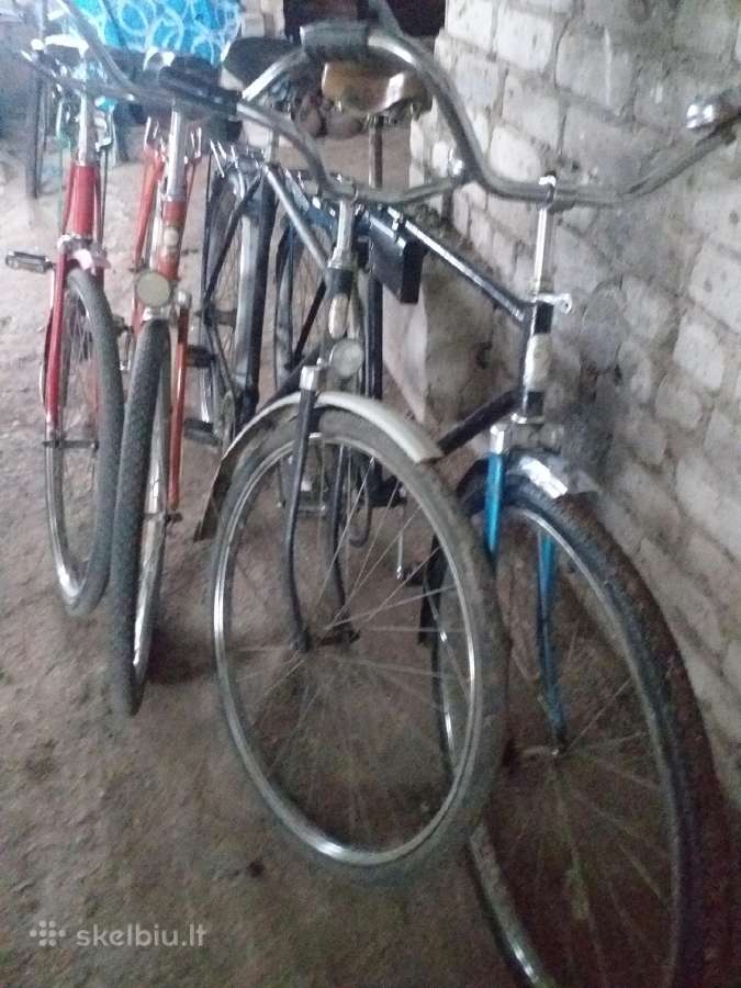 Senienos
