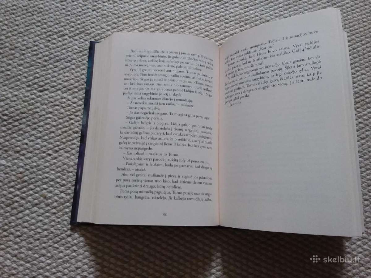 Brolija. Temudžajų sugrįžimas (8) - nuotraukos Nr. 2
