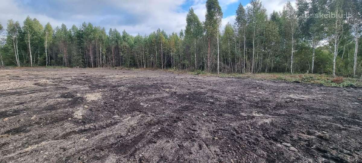 Tvenkinių kasimas ir kiti darbai - nuotraukos Nr. 18