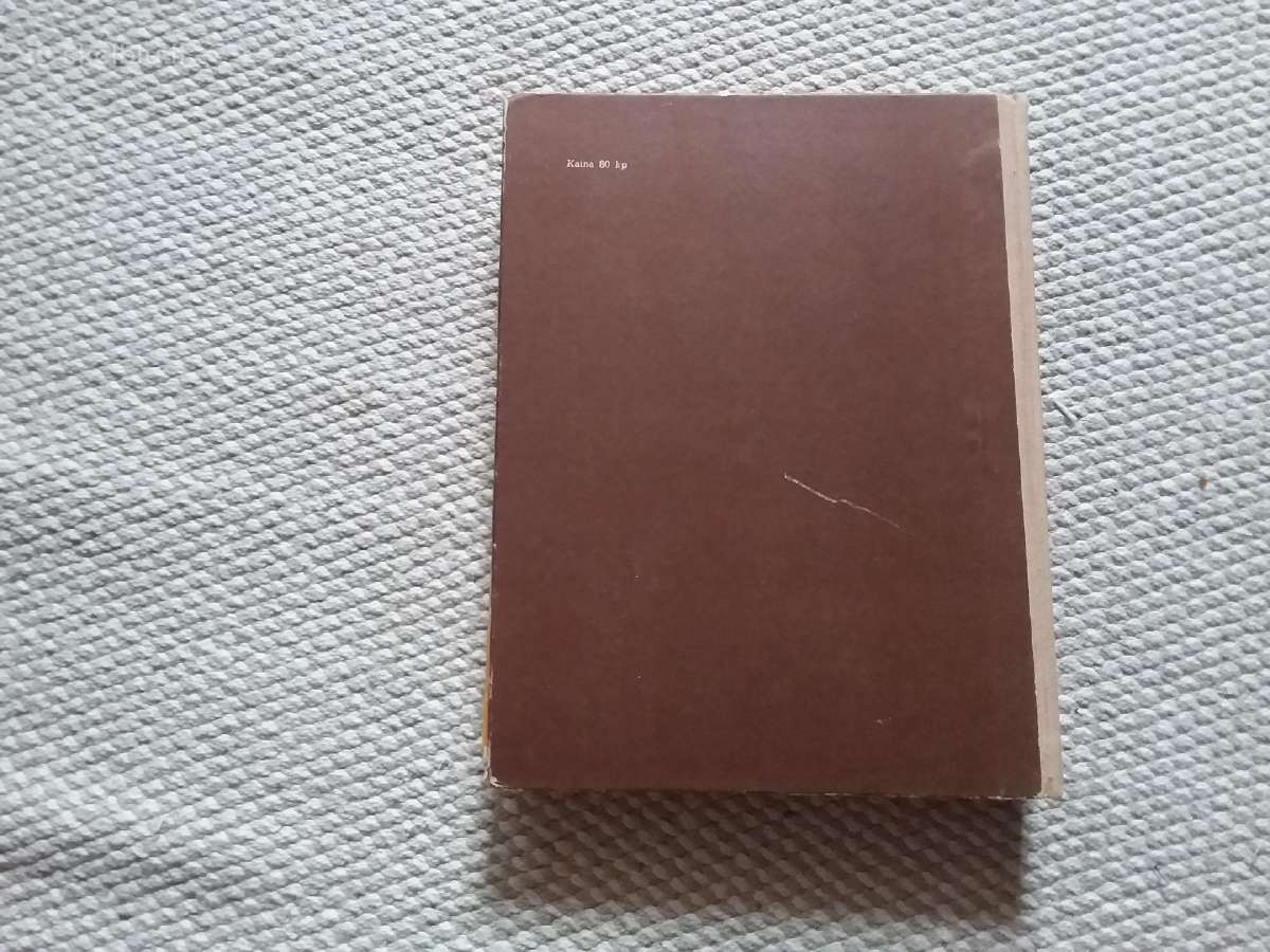 Devyni broliai. Gruzinų pasakos 1976 m. - nuotraukos Nr. 4