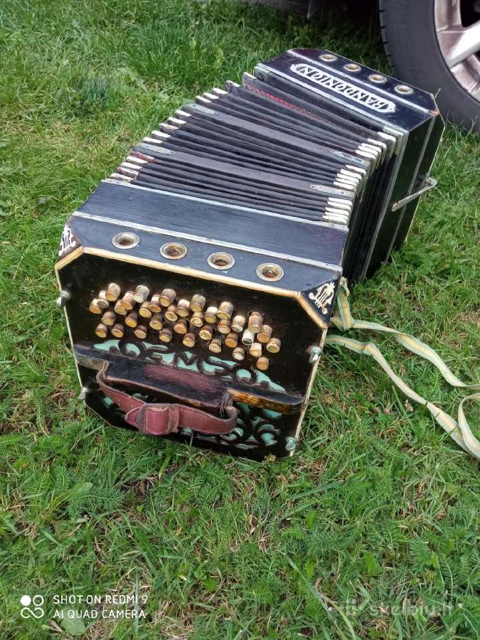 Bandonija - nuotraukos Nr. 4
