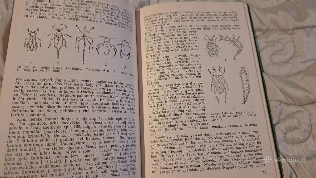 Biologo vadovas - nuotraukos Nr. 7