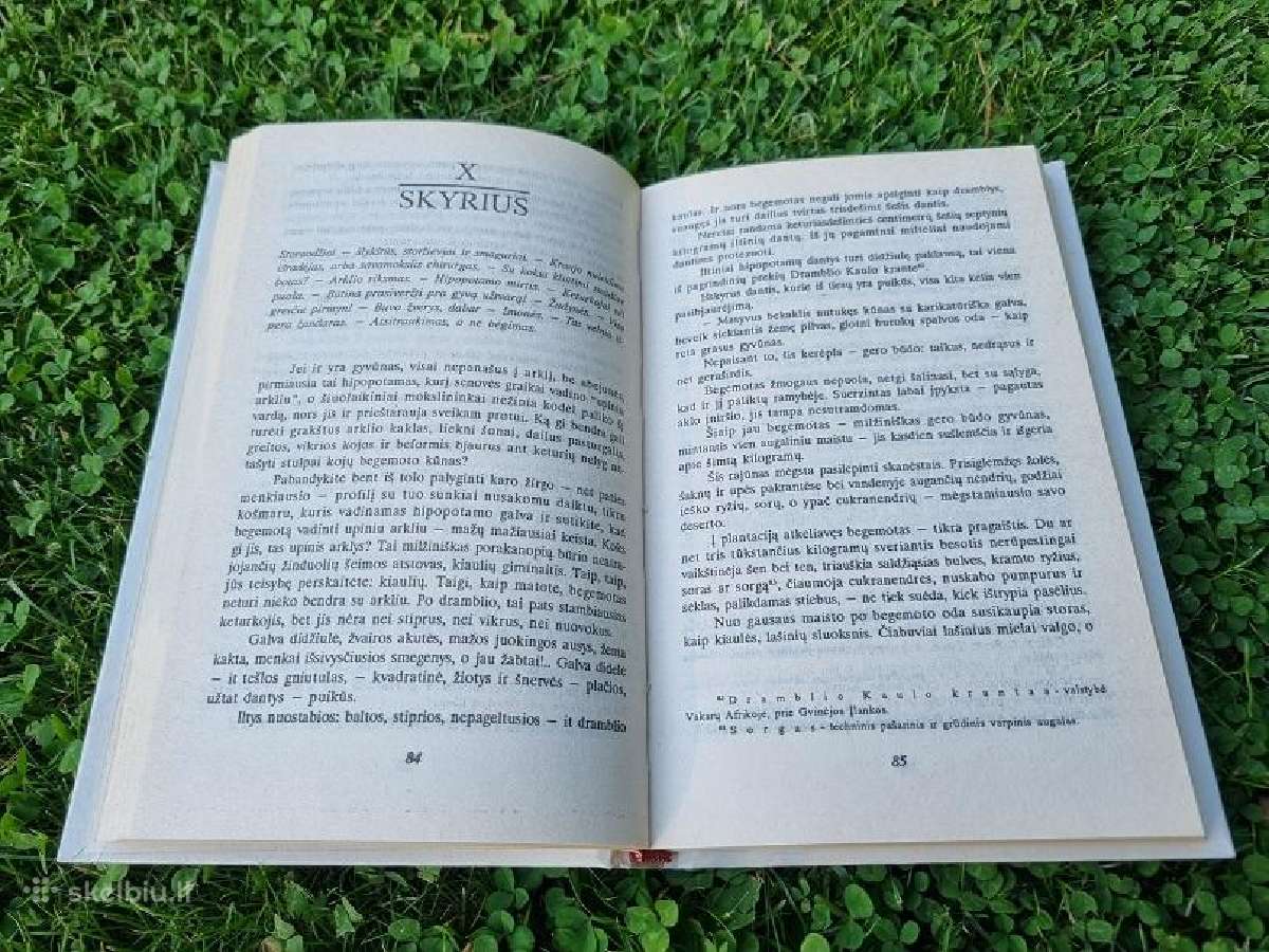 Luji Busenaras "Paryžiečio nuotykiai liūtų šalyje" - nuotraukos Nr. 3