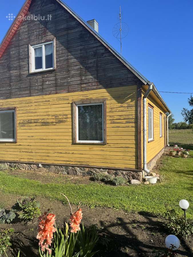 Stogu dažymas. Mediniu namų dažymas - nuotraukos Nr. 20