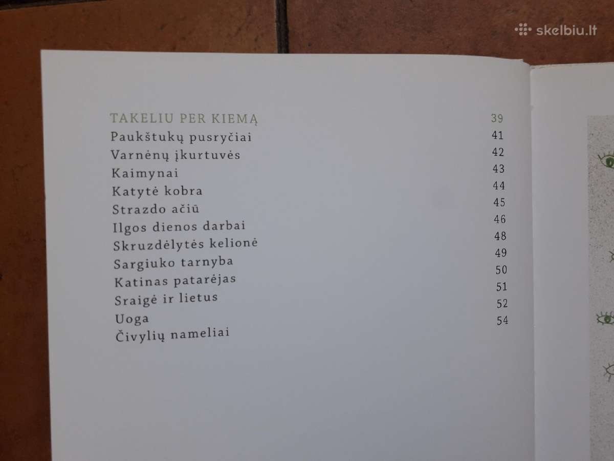 Paulina Žemgulytė "Žalio lapo skėtis" 2014 m. - nuotraukos Nr. 4