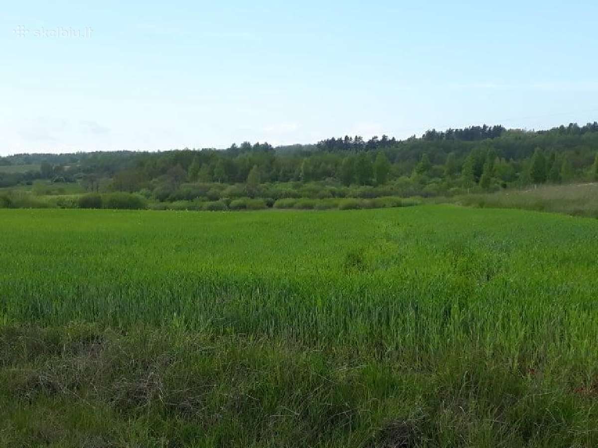 Žolė nusišienavimui neatlygintinai