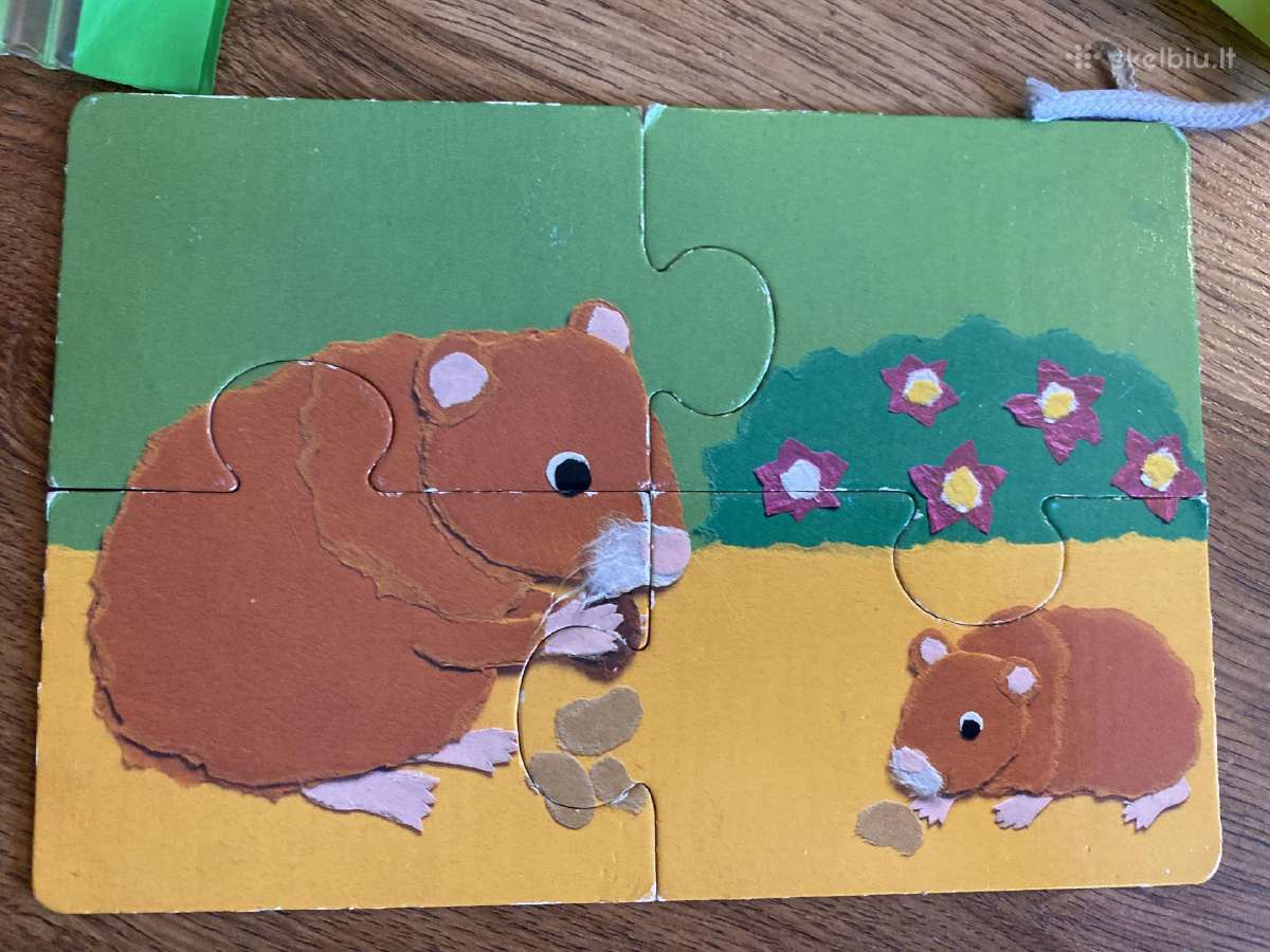 Mediniai lavinamieji žaislai ir puzzle - nuotraukos Nr. 19