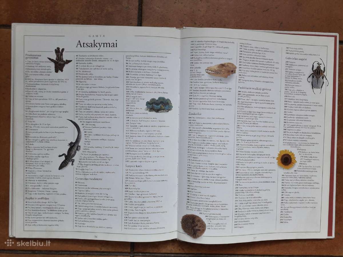 "1001 klausimas ir atsakymas" 1998 metai - nuotraukos Nr. 7