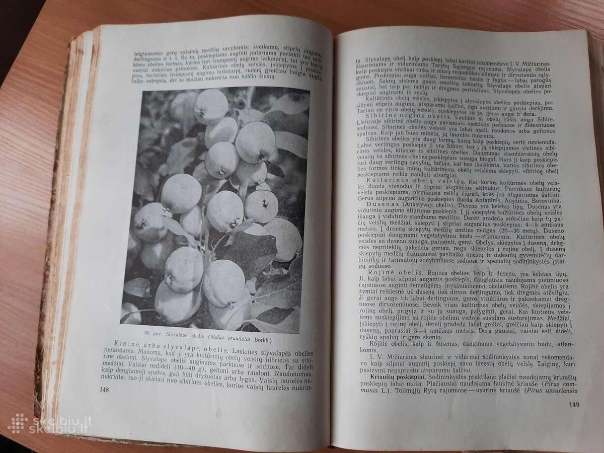 Knygos. Lietuvių dialektologija 1966m - nuotraukos Nr. 5