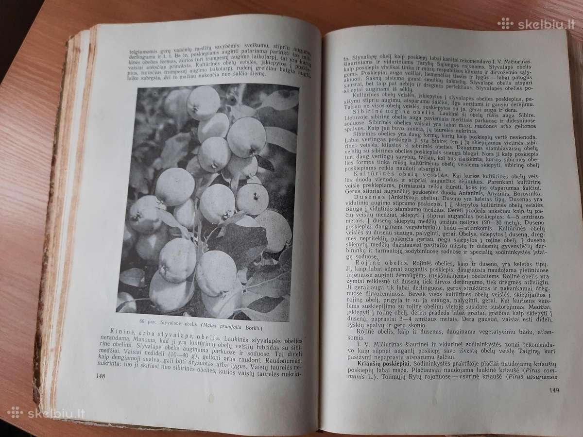 Sena knyga "Sodininkystė" 1959m. - nuotraukos Nr. 3