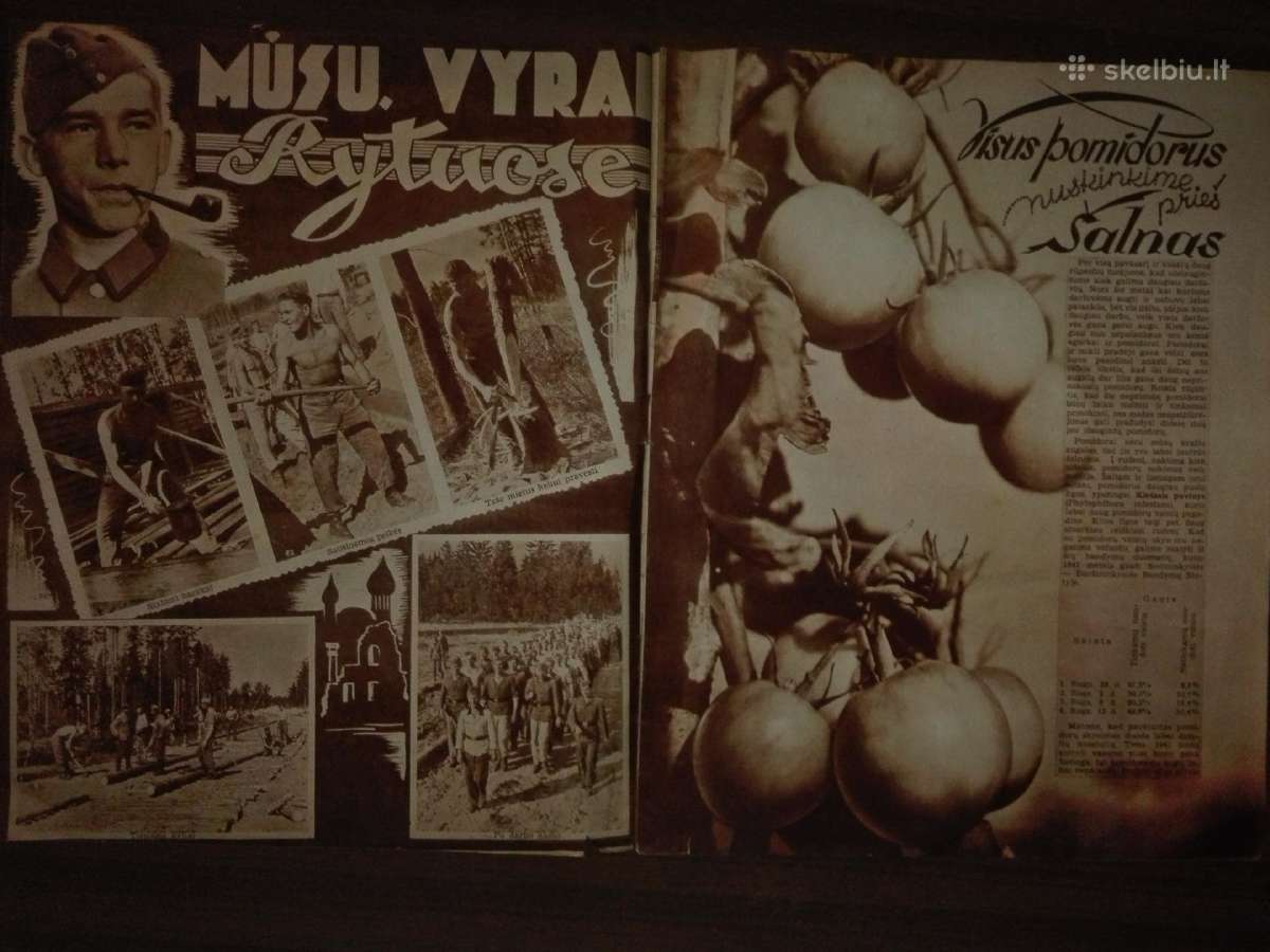 Naujoji Sodyba Antikvarinis-kolekcinis žurnalas - nuotraukos Nr. 7