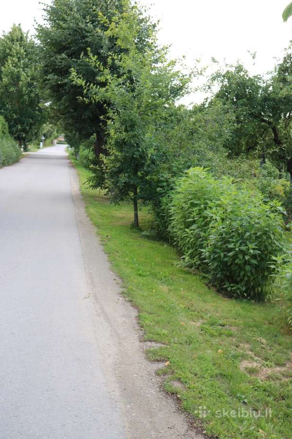 Parduodami 13,6 Arų Du Sodo Sklypai Joniškyje - nuotraukos Nr. 14