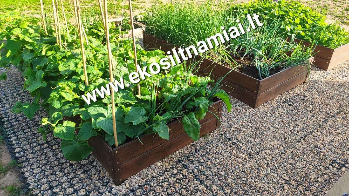 Pakeliamos lysvės, takeliai, pamatas šiltnamiui, - nuotraukos Nr. 5