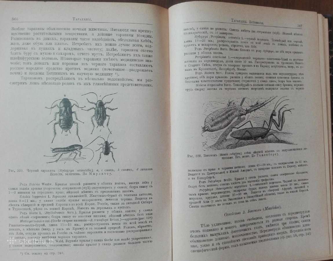 644. Antikvarinė Курсъ Энтомологiи Холодковскiй Н. - nuotraukos Nr. 4