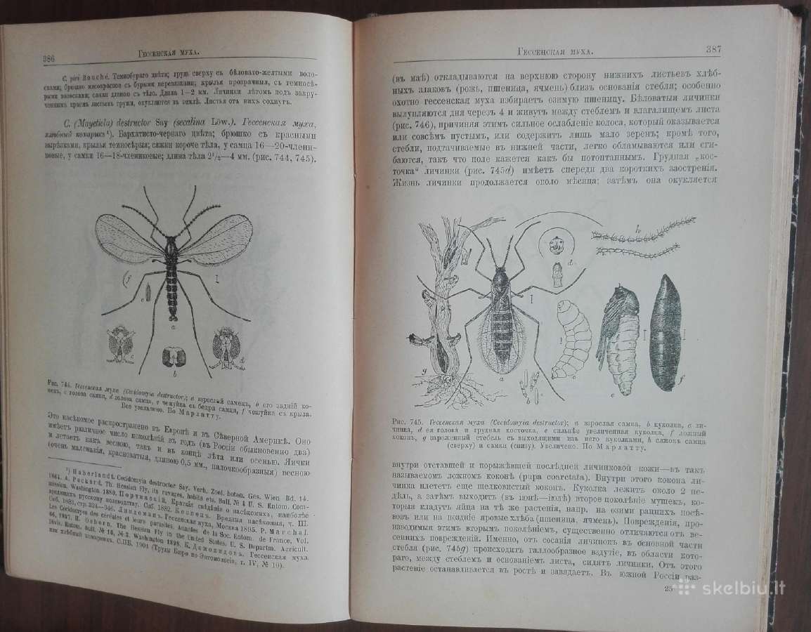 644. Antikvarinė Курсъ Энтомологiи Холодковскiй Н. - nuotraukos Nr. 9