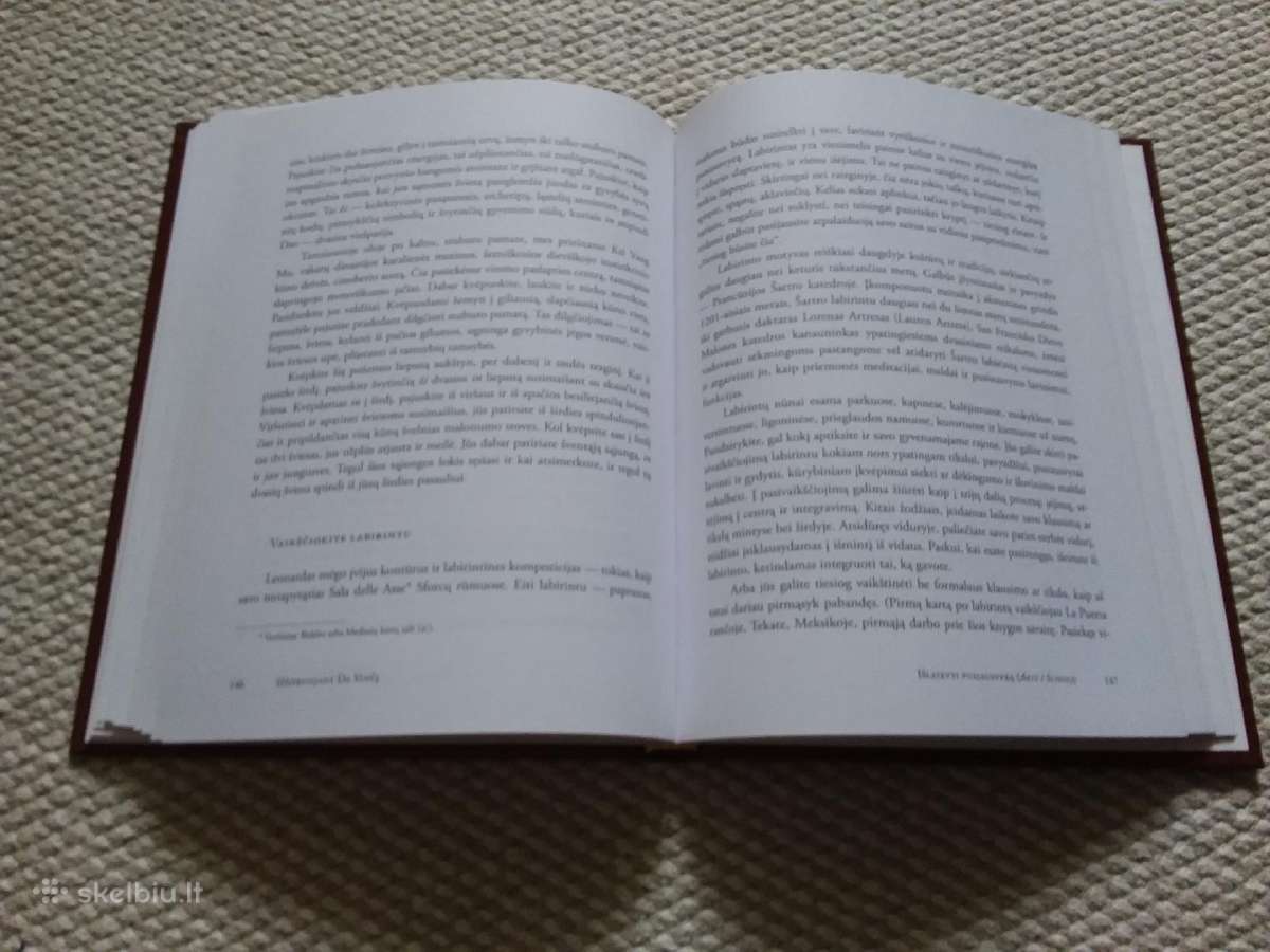 Michael J. Gelb Iššifruojant Da Vinčį - nuotraukos Nr. 3