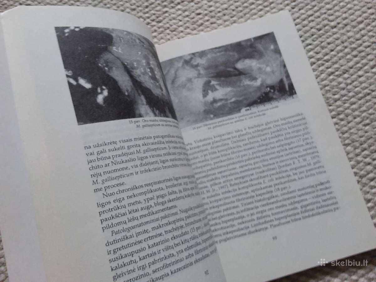 Vytautas Kaluina Paukščių mikoplazmozės - nuotraukos Nr. 2