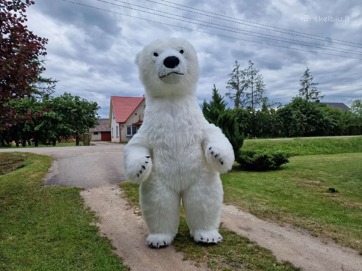 Meškiuko Sniegio Sveikinimas - nuotraukos Nr. 16