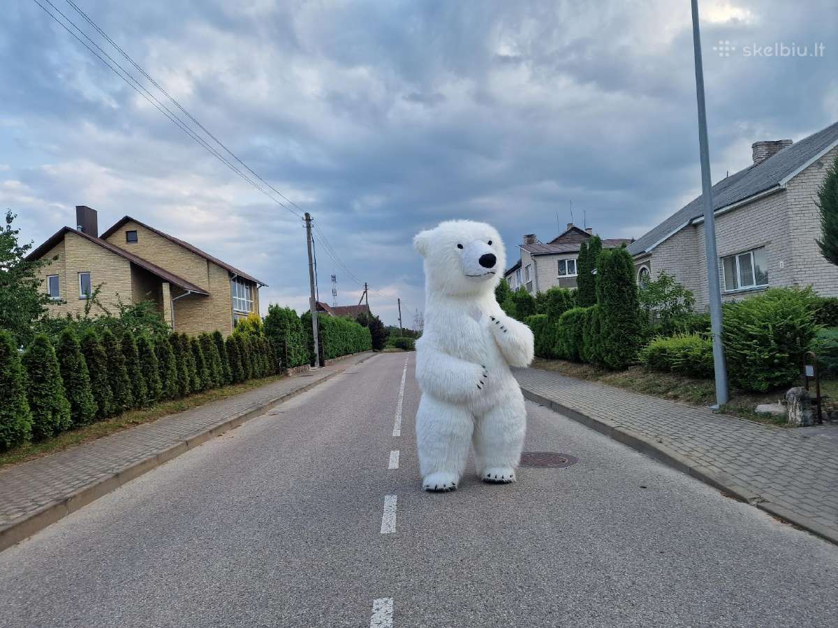 Meškiuko Sniegio Sveikinimas