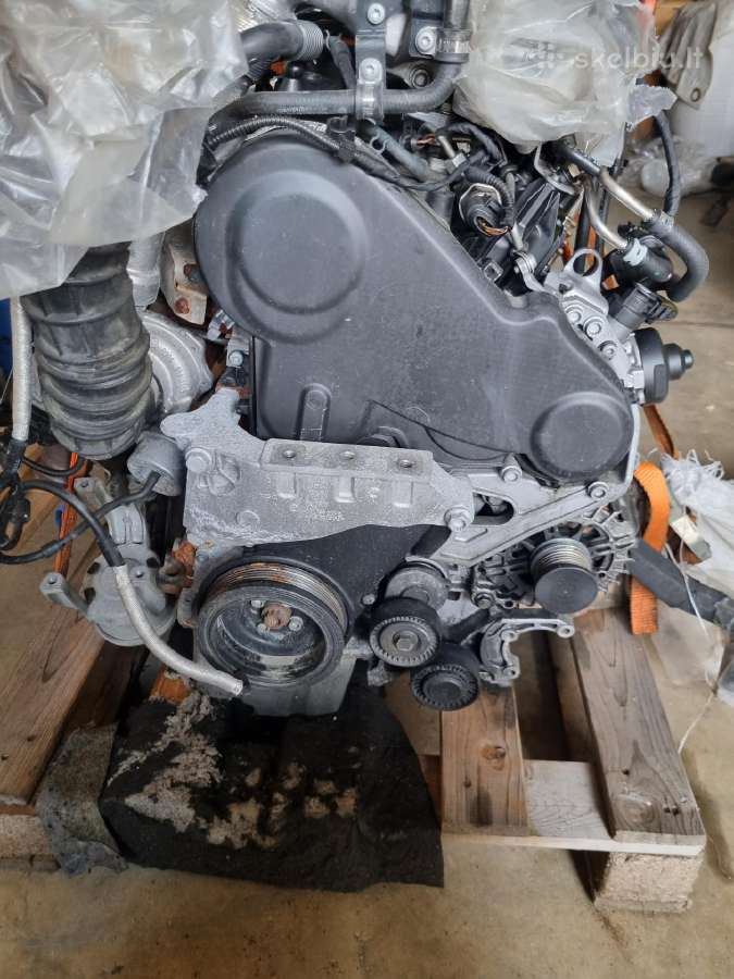 Volkswagen Variklis Cfc