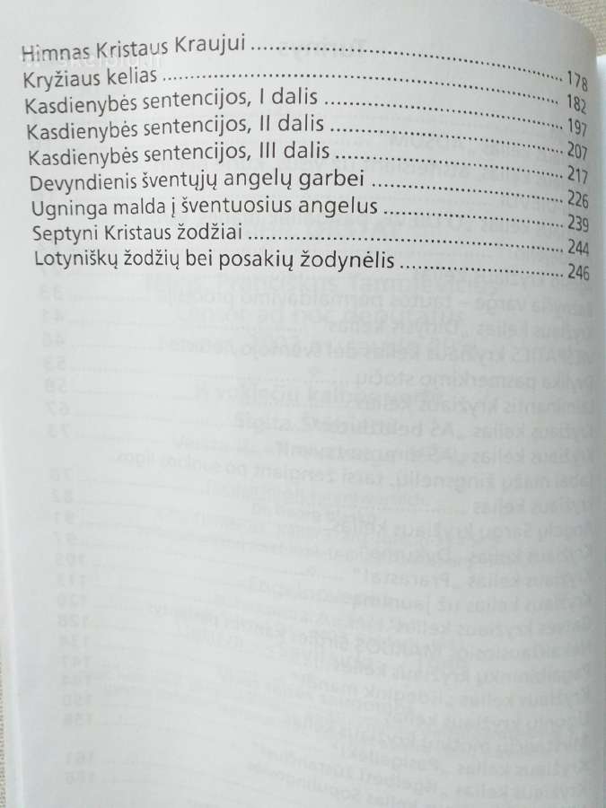 Kryžiaus keliai. Sentencijos susimąstymui - nuotraukos Nr. 3