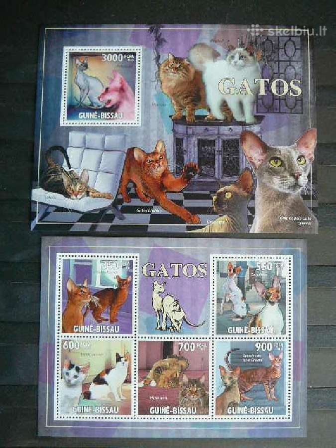 Kates Gvineja Bisau 2010 Mnh bs4773