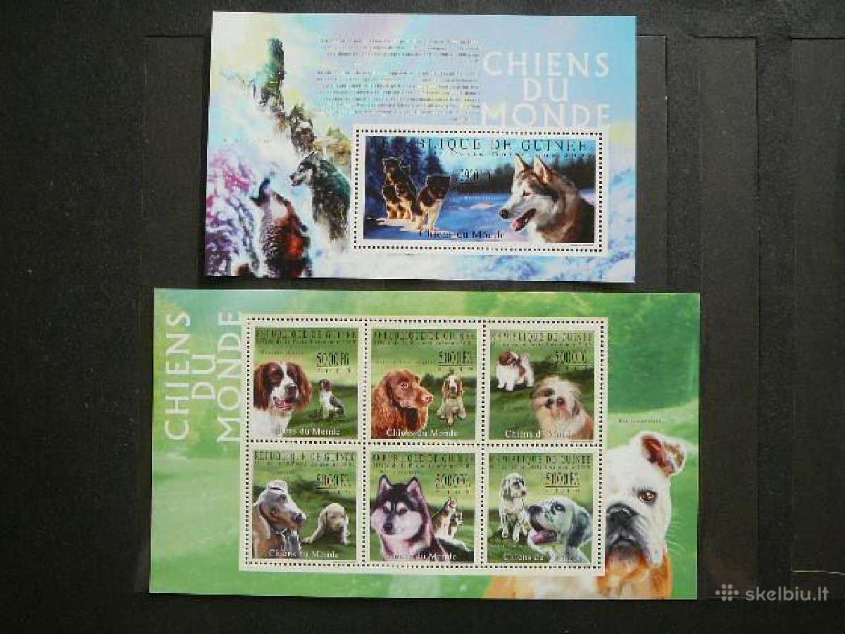 Sunys Gvineja 2009 Mnh vgv4612