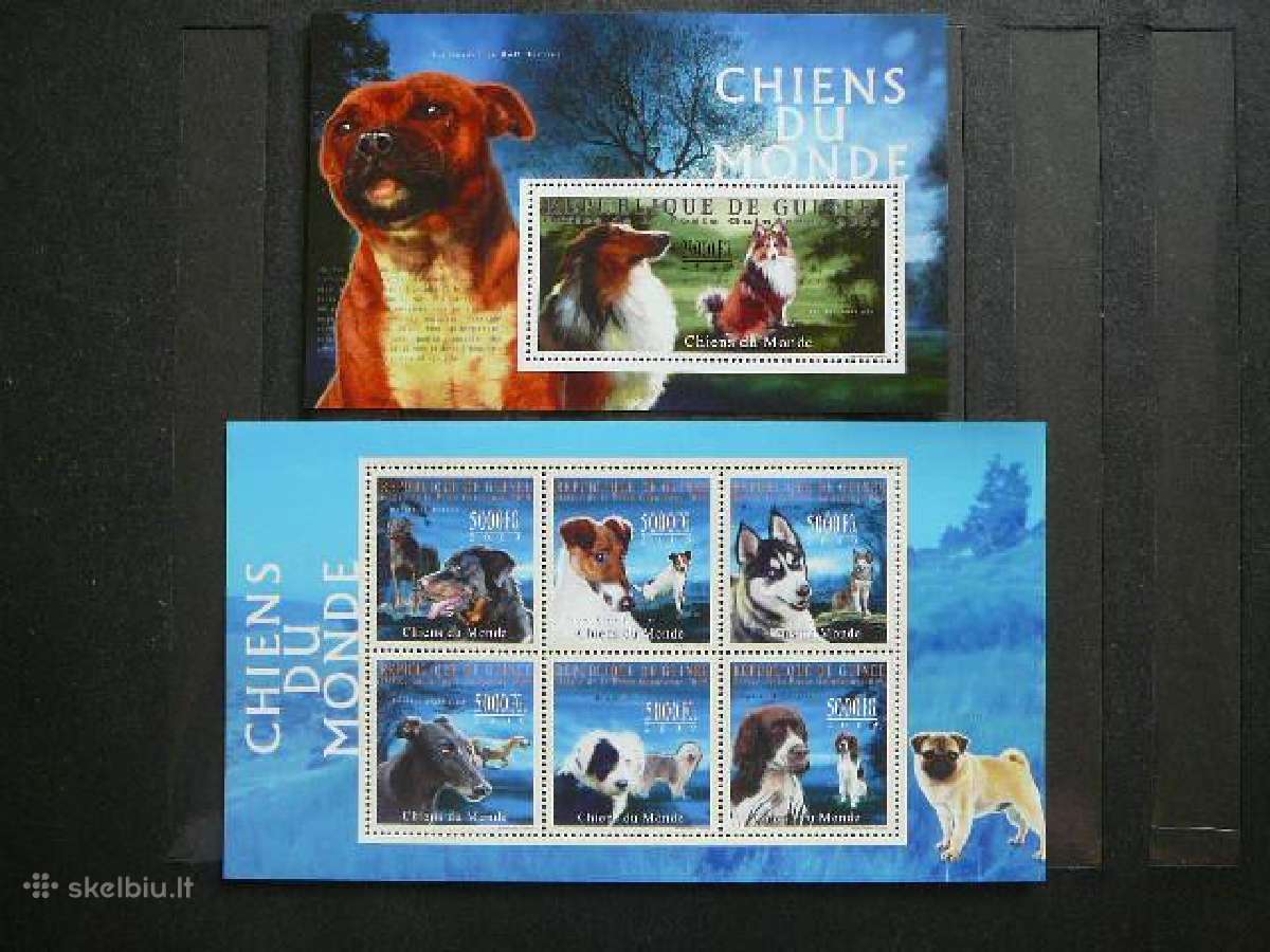 Sunys Gvineja 2009 Mnh vgv4600