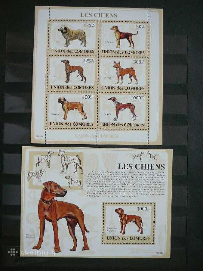 Sunys Komorai 2009 Mnh cmr2135