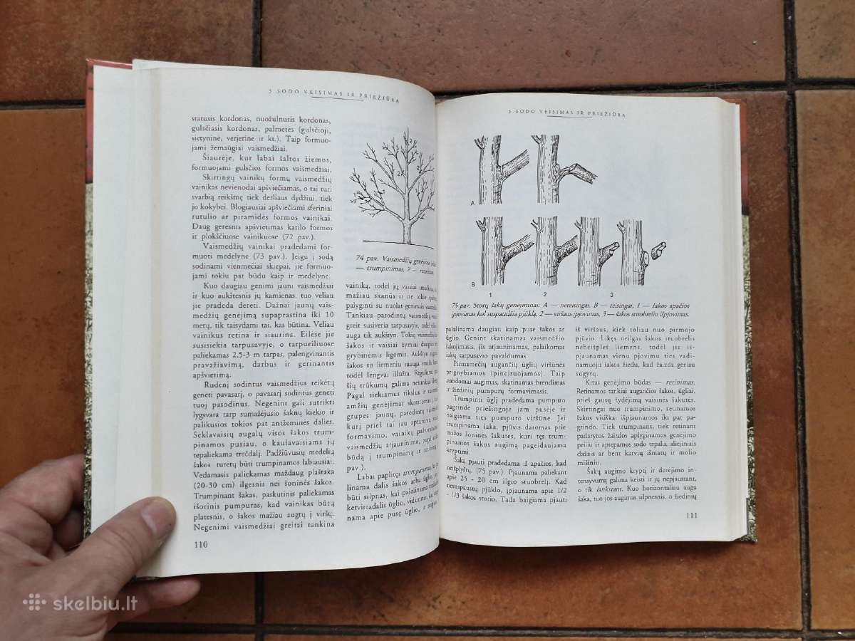 Jonas Galvydis "Sodininko patarėjas" 1999 metai - nuotraukos Nr. 4