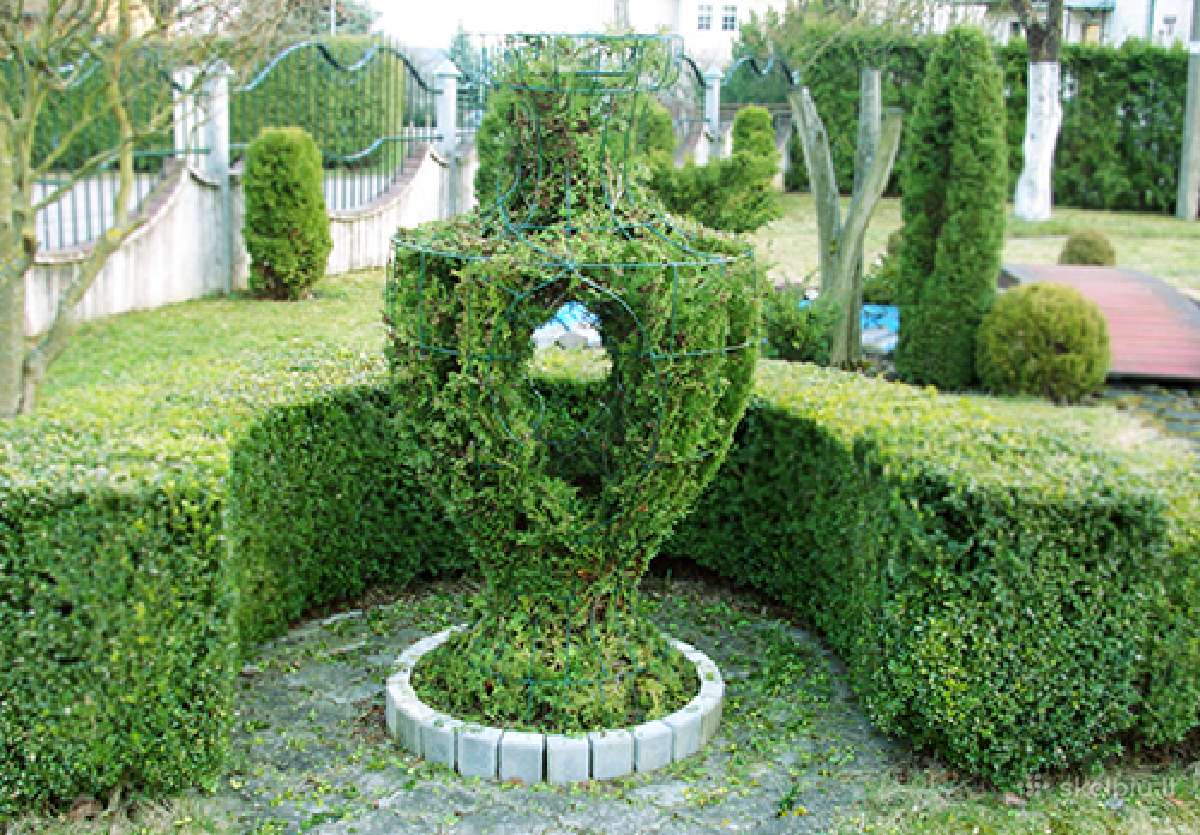 Augalų Skulptūros (Topiary), rėmai - nuotraukos Nr. 16
