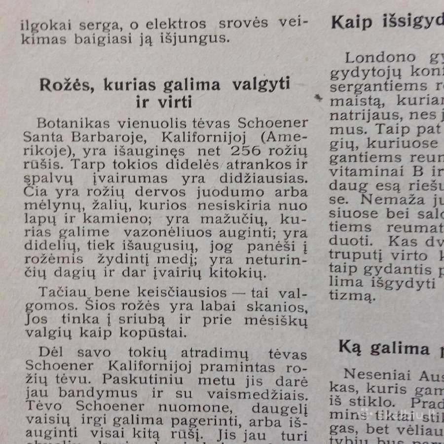 Pranciškonių Pasaulis 1937 m. ,nr.3 - nuotraukos Nr. 17