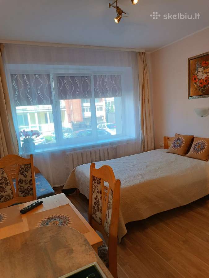 Druskininkų centre jaukus butas studija - nuotraukos Nr. 22