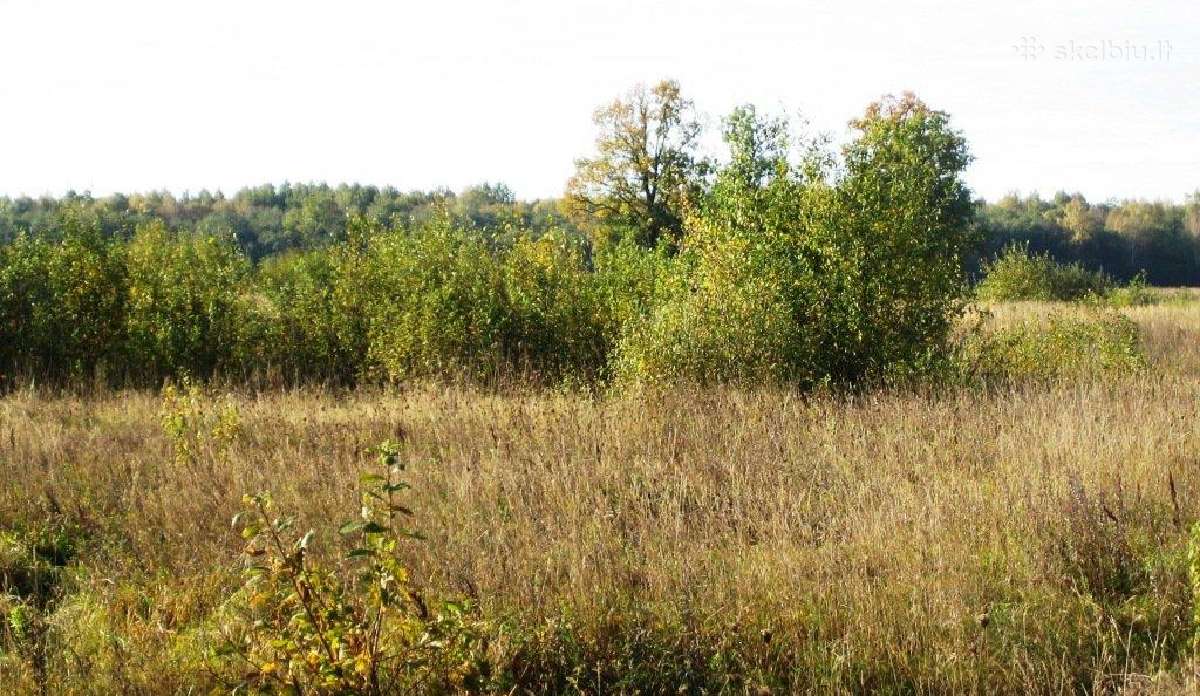 Apleistų pievų tvarkymas -krūmų kirtimas nemokamai