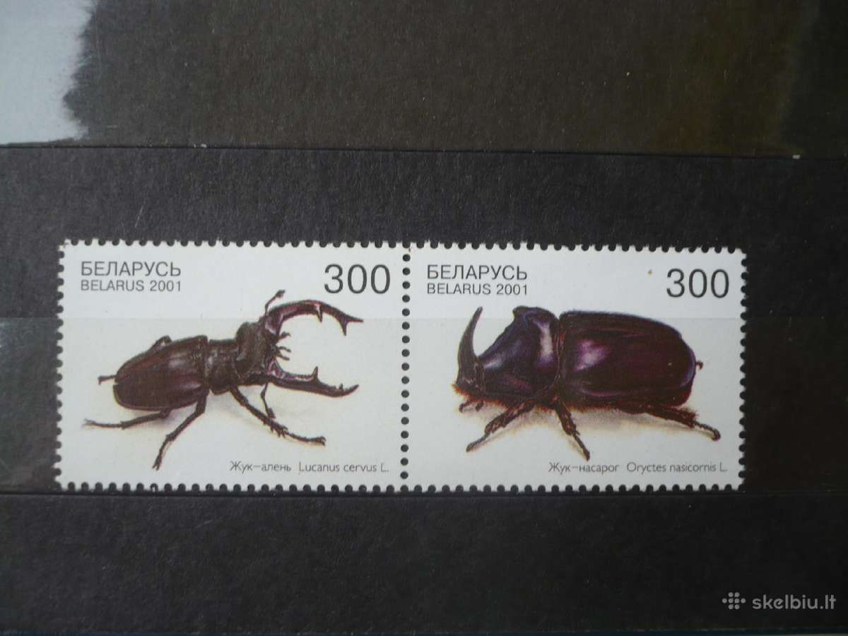 2001 Vabalų pora Mhn