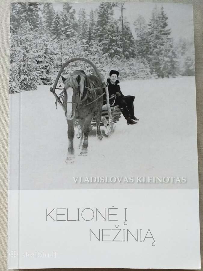 Vladislovas Kleinotas. Kelionė į nežinią (2017)
