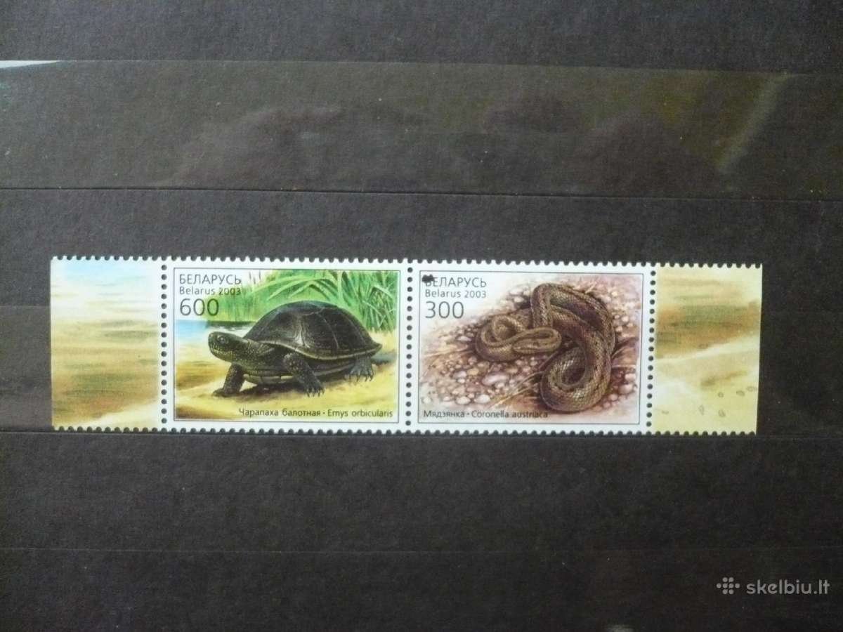 2003 m. roplių pora Mhn