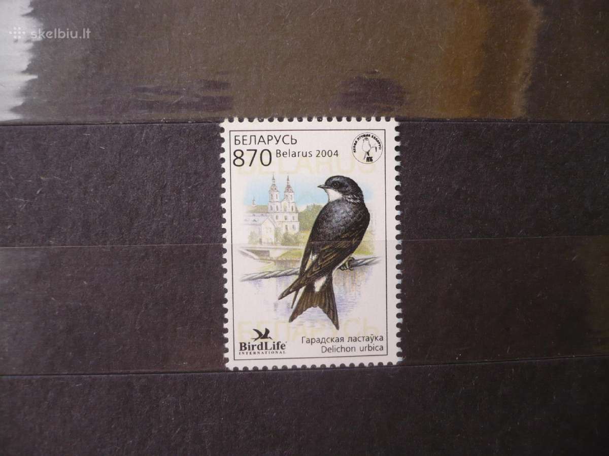 2004 metų paukštis – bendras namas Martin Mhn