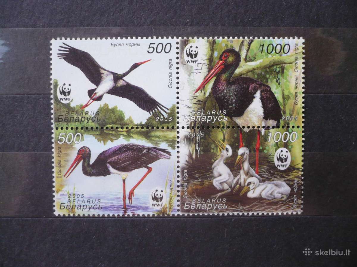 2005 Wwf – Juodasis gandras Mhn