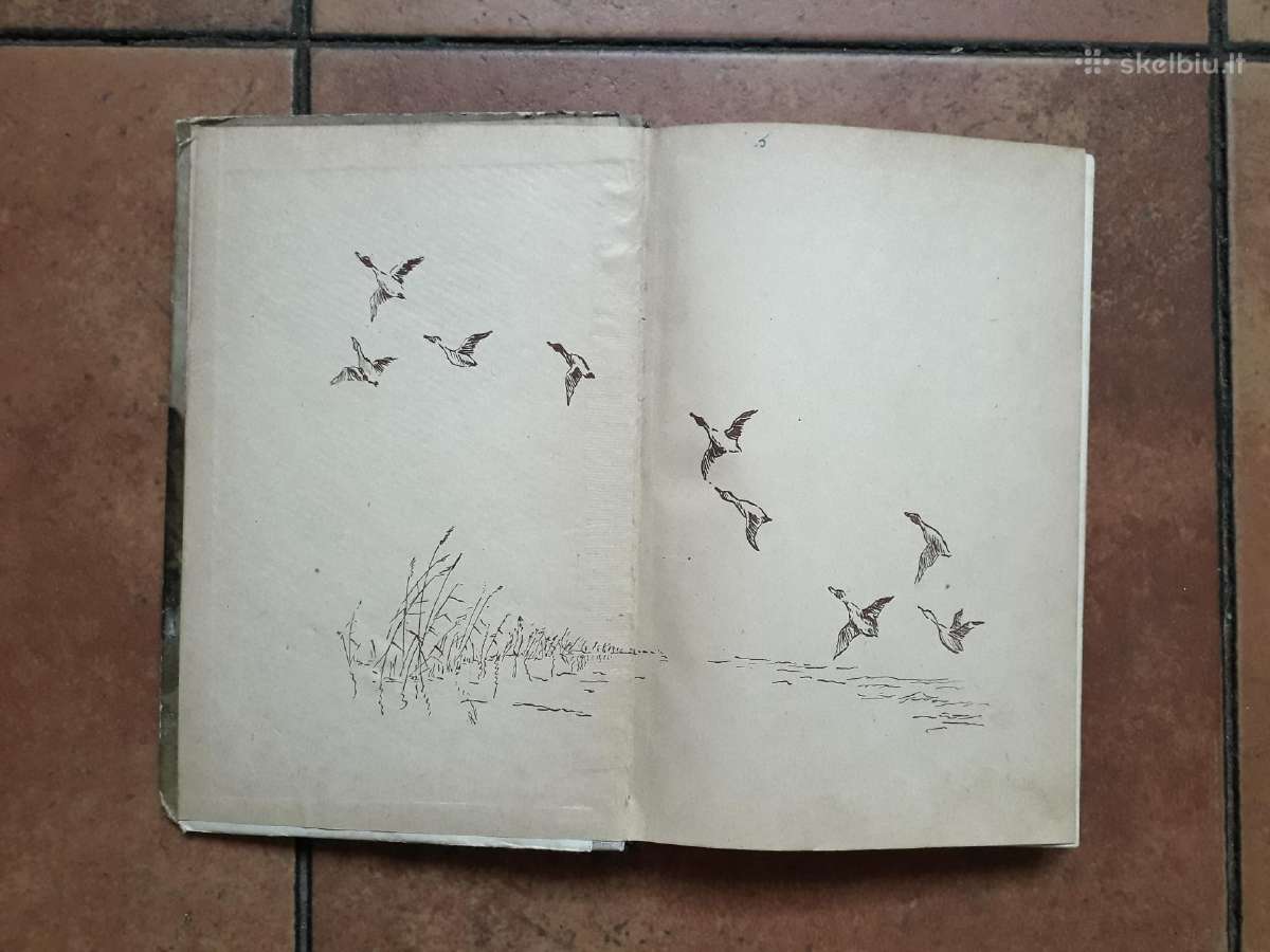 Tadas Ivanauskas "Gamtininko užrašai" 1955 metai - nuotraukos Nr. 3