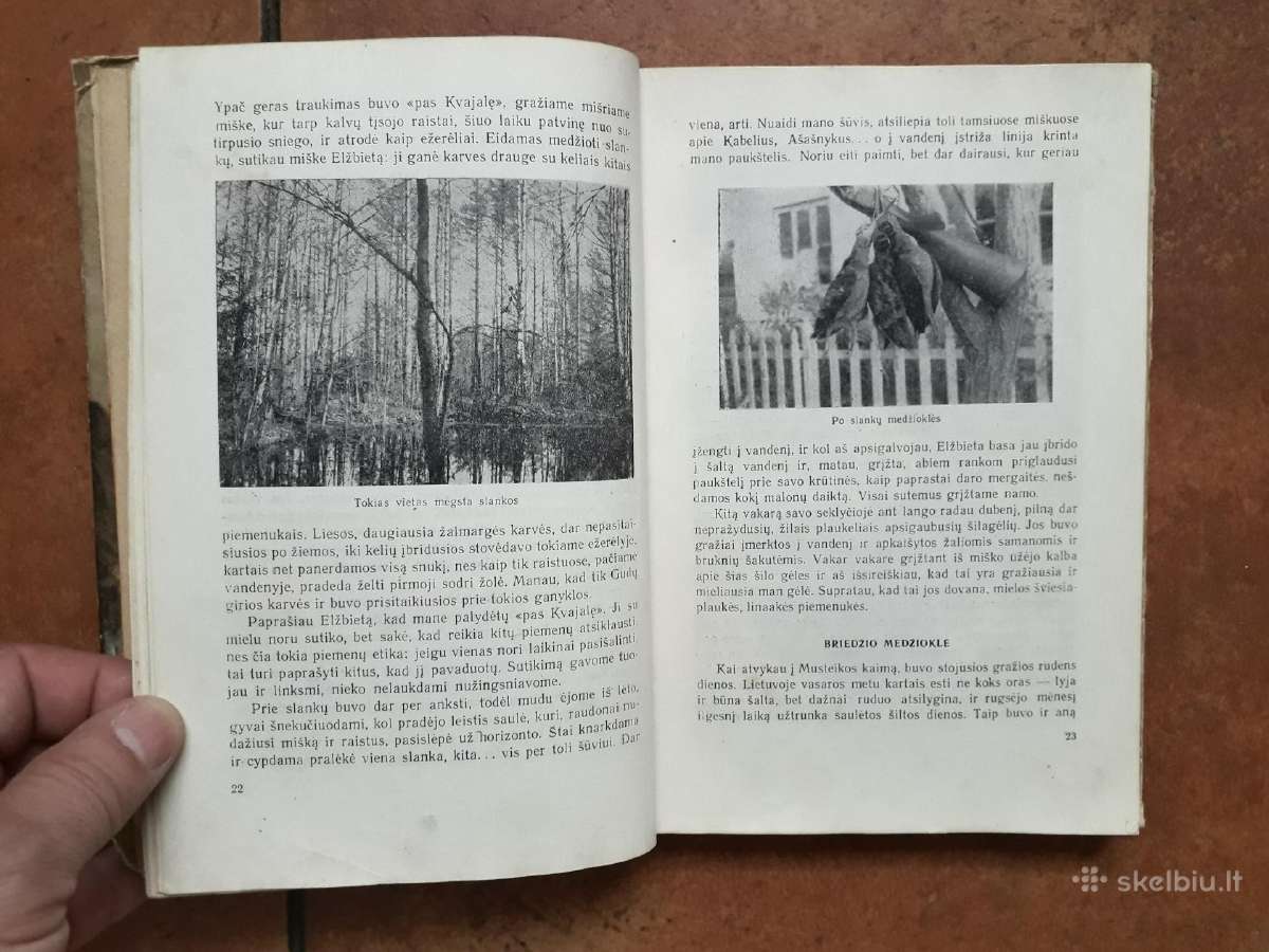 Tadas Ivanauskas "Gamtininko užrašai" 1955 metai - nuotraukos Nr. 5