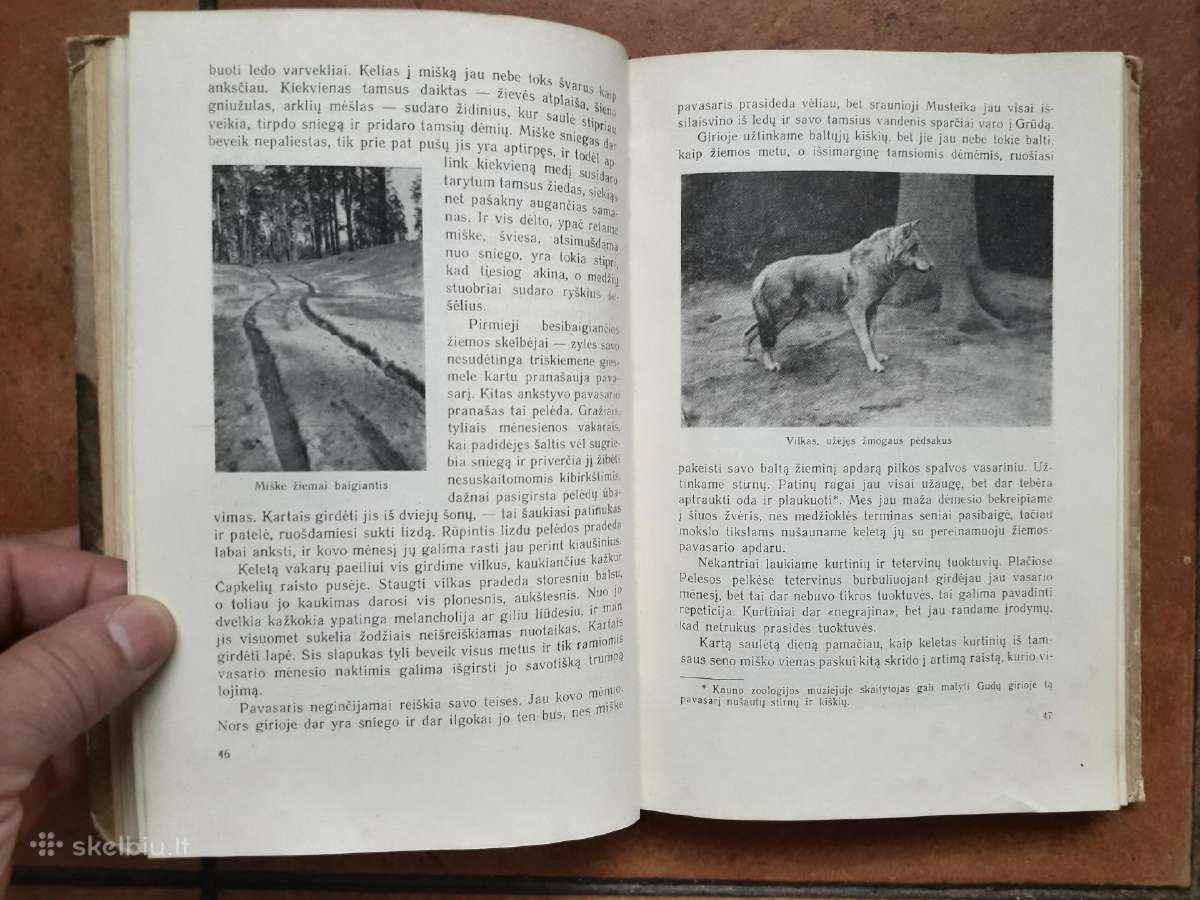 Tadas Ivanauskas "Gamtininko užrašai" 1955 metai - nuotraukos Nr. 9