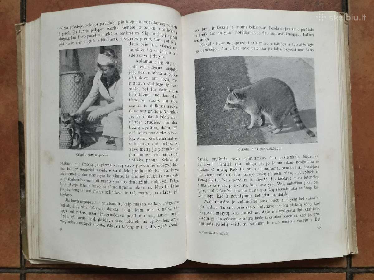 Tadas Ivanauskas "Gamtininko užrašai" 1955 metai - nuotraukos Nr. 12